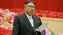 یک موسسه پژوهشی: رهبر کره شمالی دستور اعدام ۳۴۰ نفر را صادر کرده است