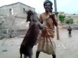 hum tere bin ab reh funny video .. whatsaap funny video..हम तेरे बिन अब