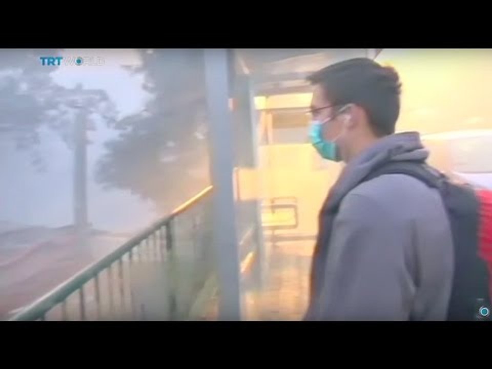 Israel Wildfires: Five arrested over arson as fires rage in north