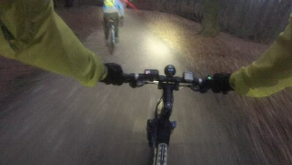 20151230 Wilhelm Jahresabschluss