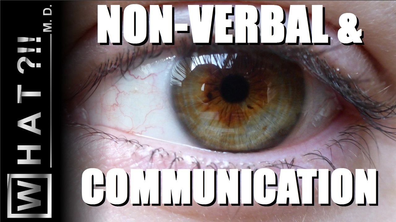 Quel impact du non-verbal dans la communication ?