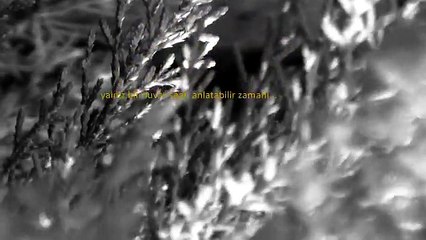 Kent Şarkıları - Ellerinden Öperim (Official Video)