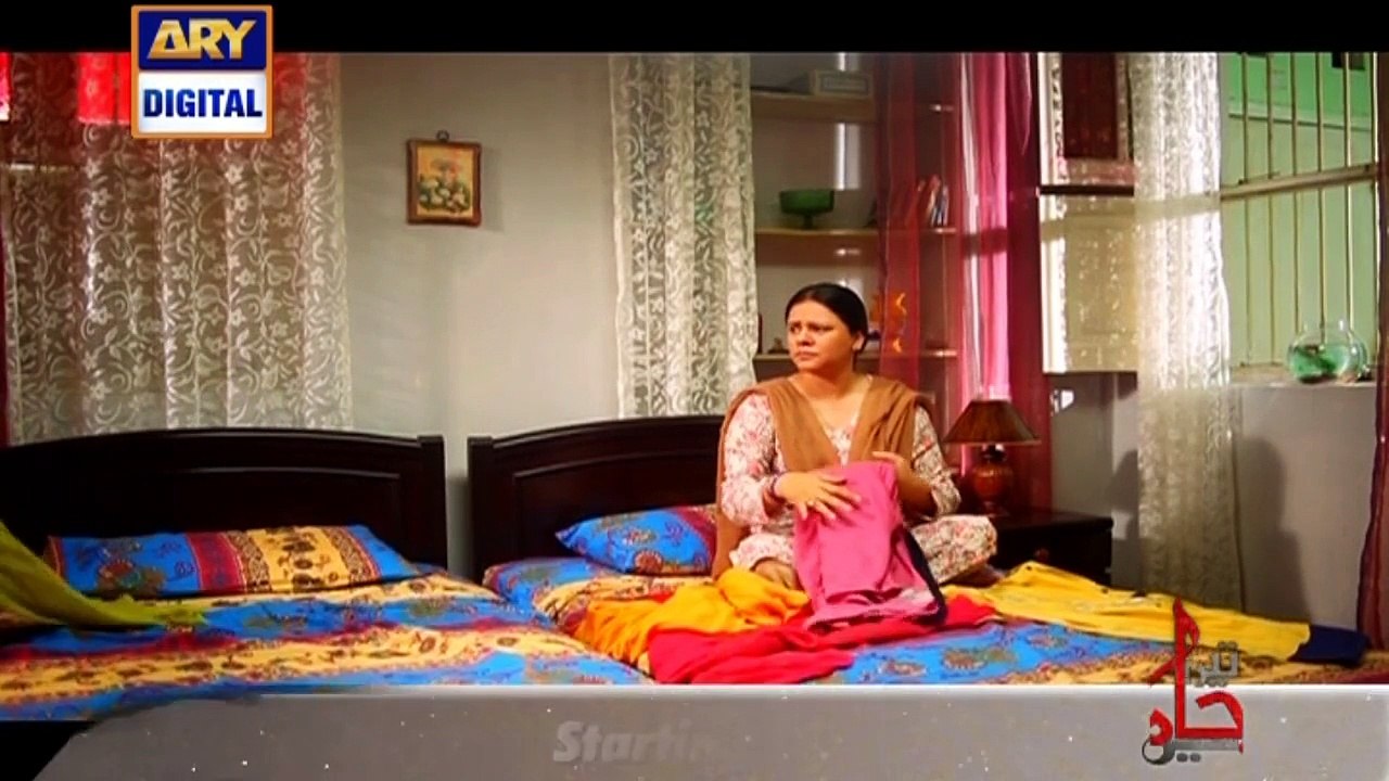 Mein Mehru Hoon Episode 01 on Ary Digital in High Quality 11th July 2016