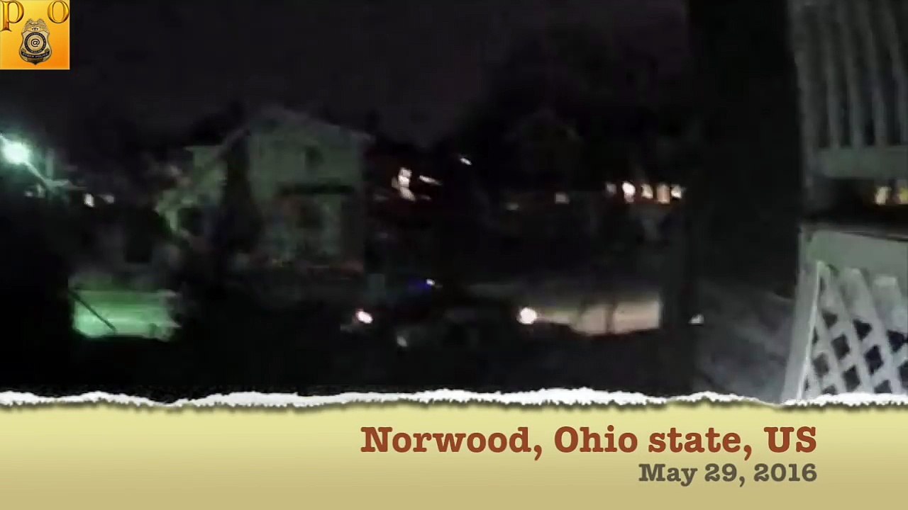 Police chase Police bodycam video shows arrest pig, Ohio