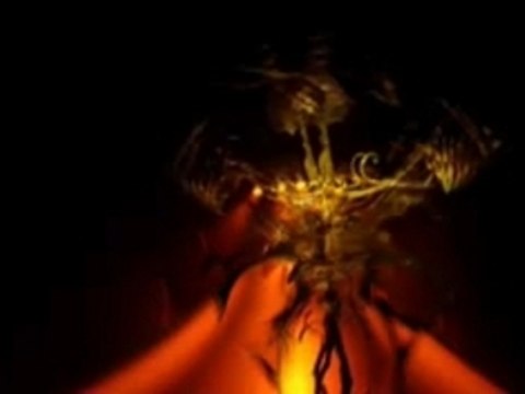 Astropolis 2007 - Mekanik - Manoir de Keroual