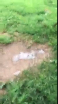 WHAT SHOULD I DO!???