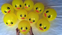Duck face Balloons Popping Showfor LEARNING NUMBERS-Childrens Educational Video