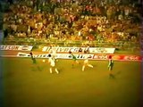 15η ΑΕΛ-Παναθηναϊκός 1-1 1982-83 (Το 1-1 με δεξί σουτ Πατσιαβούρα)