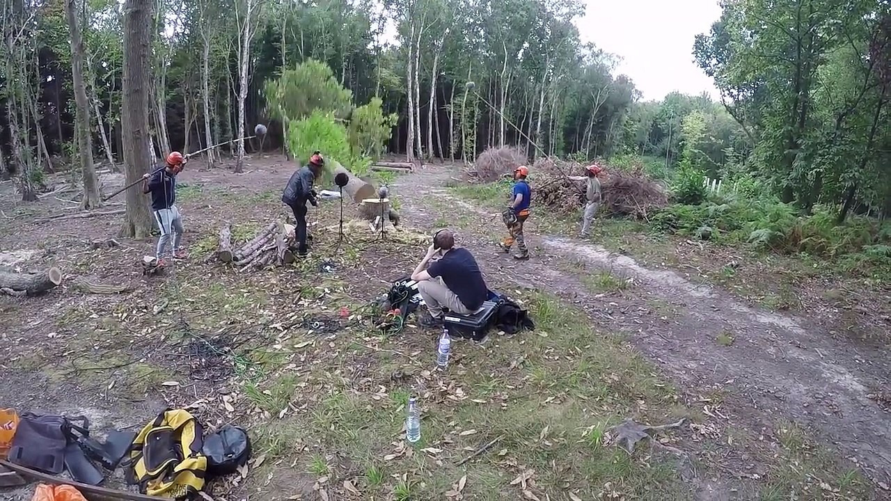 Coulisse - Total War Warhammer Real of the Wood Elves