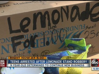 9-year-olds robbed at lemonade stand in Lutz