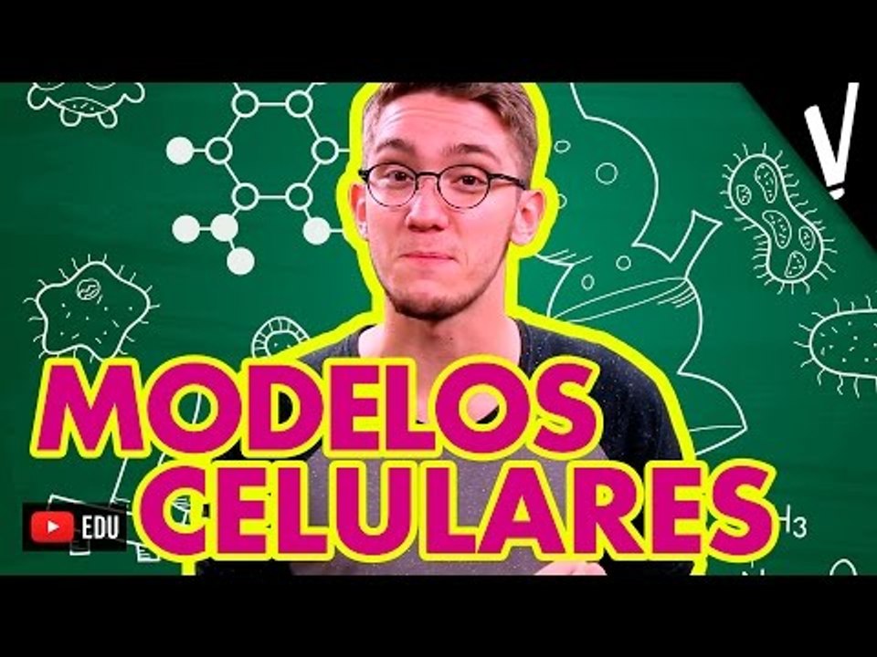Biologia - Modelos Celulares