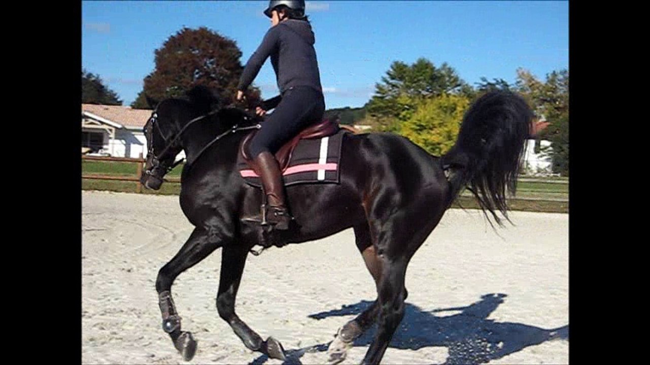 parcours entrainement oct 2016
