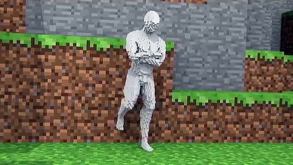 Blending In - Minecraft Test Animation