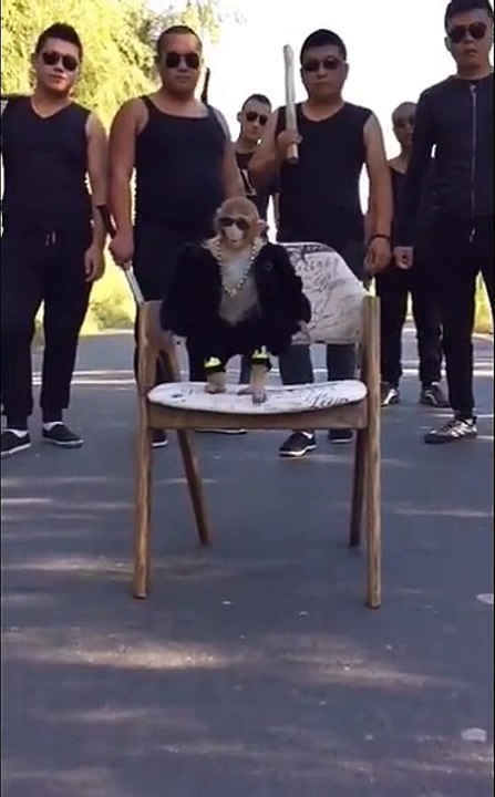 Bodygaurd
