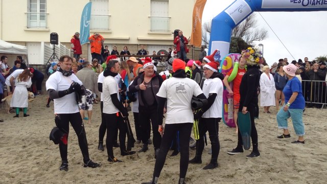 Baignade des Otaries