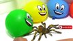 Spider Family Finger Song for Learning Colours - 5 Wet Balloons - Nursery Rhymes Finger Balloon Song