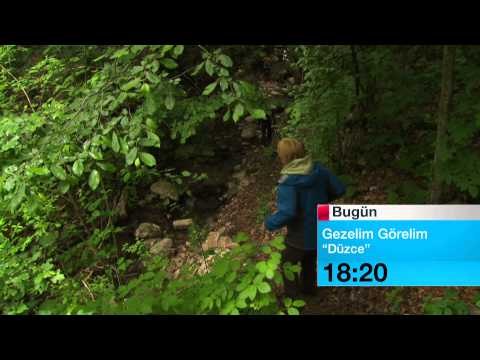 20 EKIM GEZELİM GORELİM B2