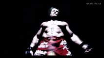 Cain Velasquez vs. Brock Lesnar - FIGHT HIGHLIGHTS [UFC 121]