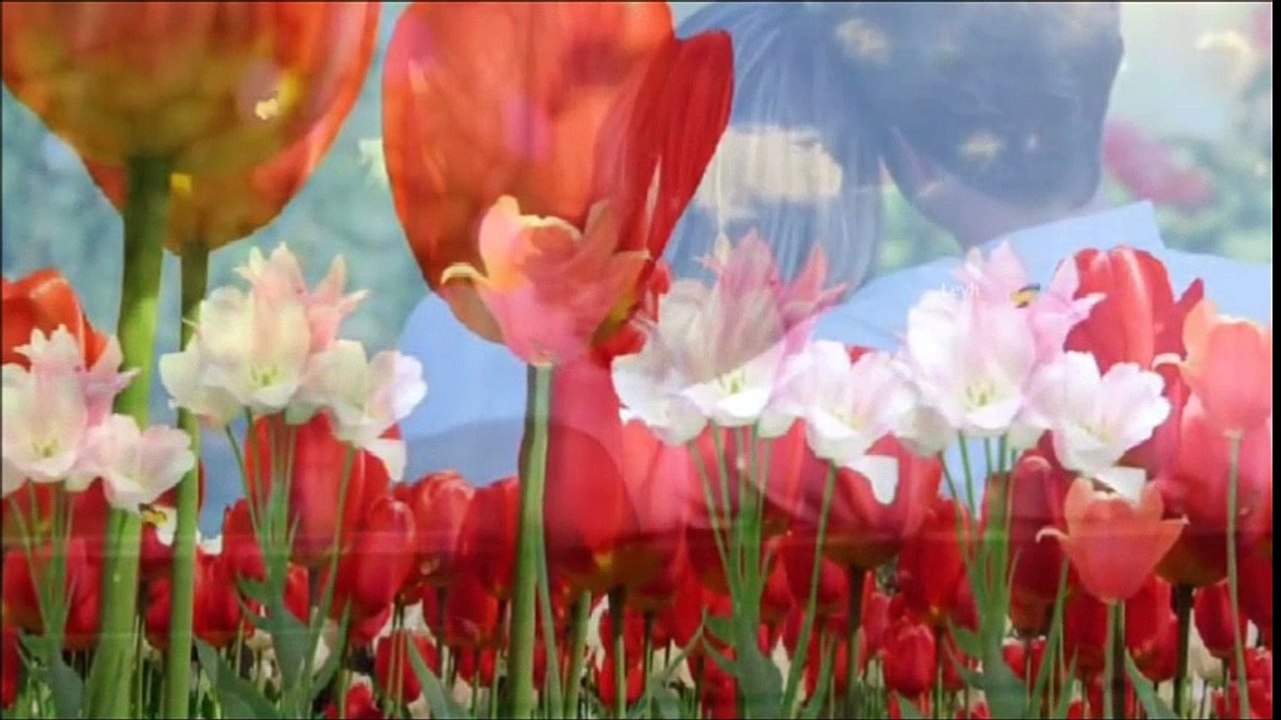 Sürün-Şenay Şenses