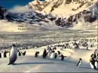 Cesaret 5 - Kendimi Tanıyorum