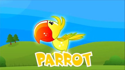 Animated Surprise Eggs for Learning Dinosaur and other Animals Names!!!