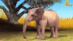 Elephant Head Animals Finger Family Nursery Rhymes | Funny Animals Cartoons Nursery Rhymes