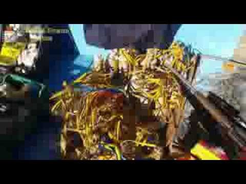 Roma - La Gdf sequestra oltre 700 Kg di botti illegali e denuncia 5 persone (29.12.16)