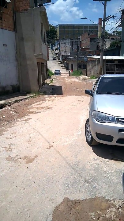 Brazilian Limousine