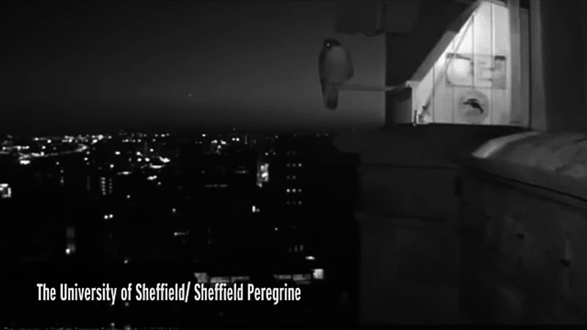 UFO in the UK Mysterious white light spotted flying over Sheffield city centre,27.12.2016.