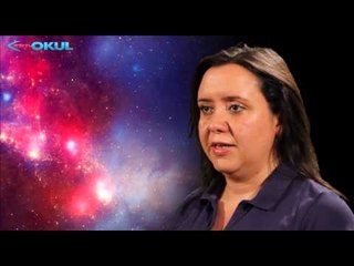 Beynin Sırları - 19. Bölüm - TRT Okul