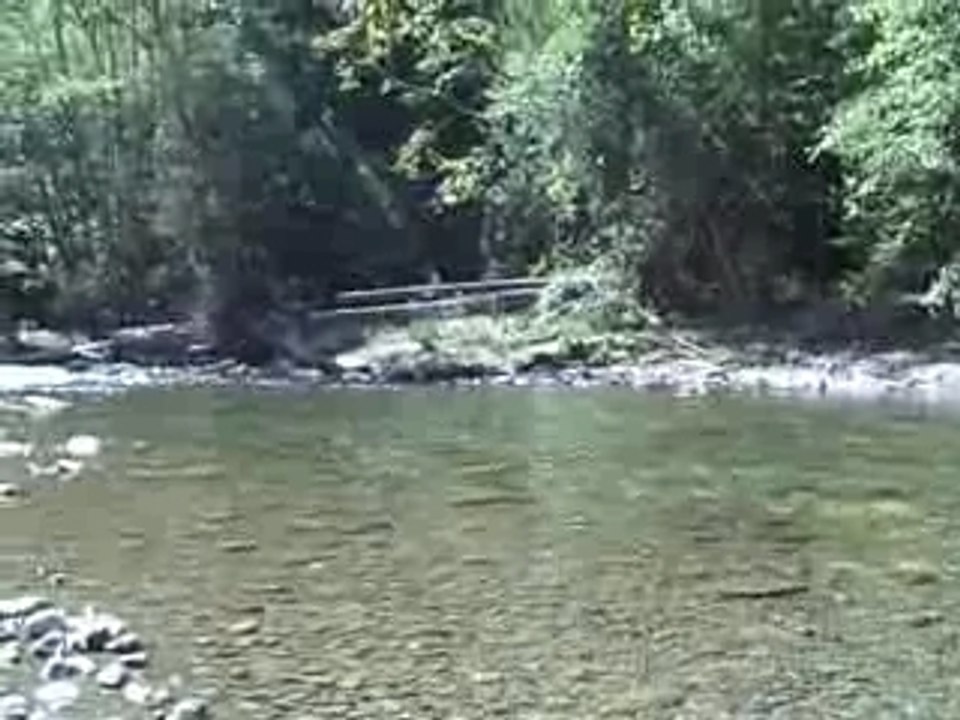 La wis wis composite nan