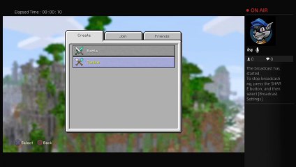 Minecraft Hunger Games (16)