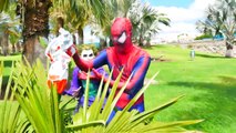 Spiderman & Frozen Elsa! Caça aos ovos surpresa! Homem aranha em uma caça ao tesouro!