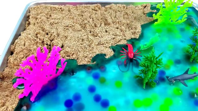 Learn Learning Sea Animals Names Kids Children Toddler Toys Video Shark Attack Hand Puppet Toy Fun