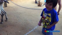 ANIMALS POOPING AT THE ZOO Kid at the ZOO Funny Family Fun Trip t