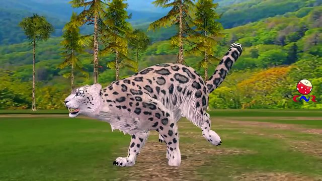 Learning Animals Sounds And Names For Children Kids And Babies Learn Wild Animals Names