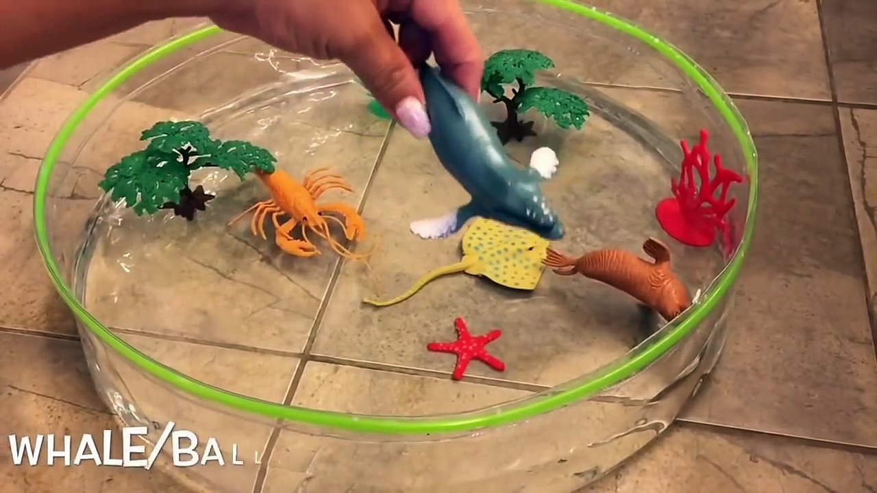 Learn Learning Sea Animals Names English to Spanish Video For Children Toddlers Kids Preschool Toys