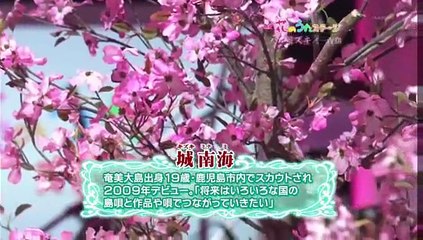 城南海ハナミズキ・・