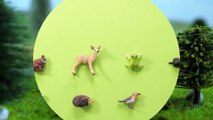 Learning Animals Names and Sounds for Kids - Part 3- The Forest