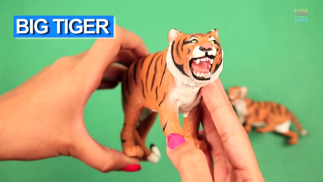 Learning Opposite For Kids with Animals   Learning Animals for Kids   Learning English For Kids Toys