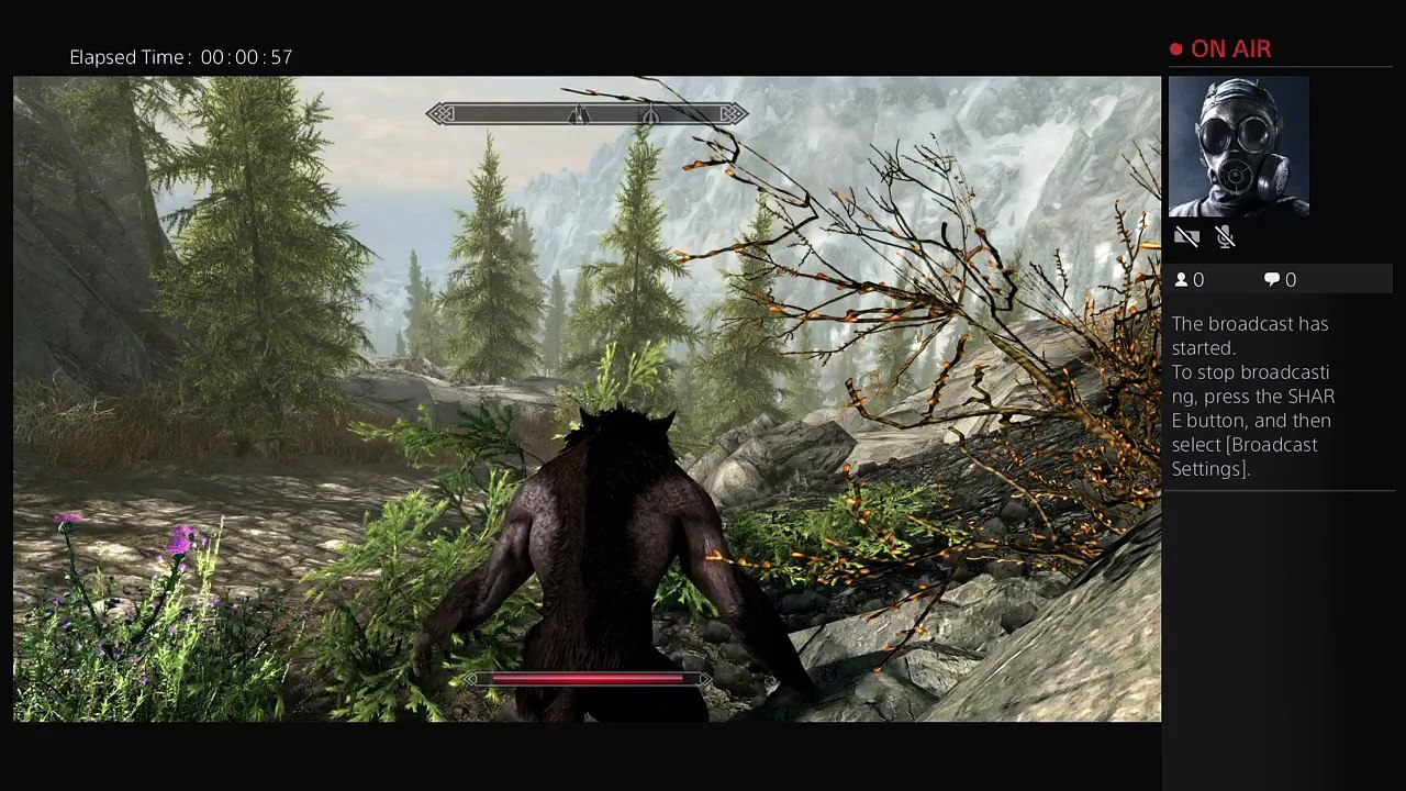 Derek's Skyrim