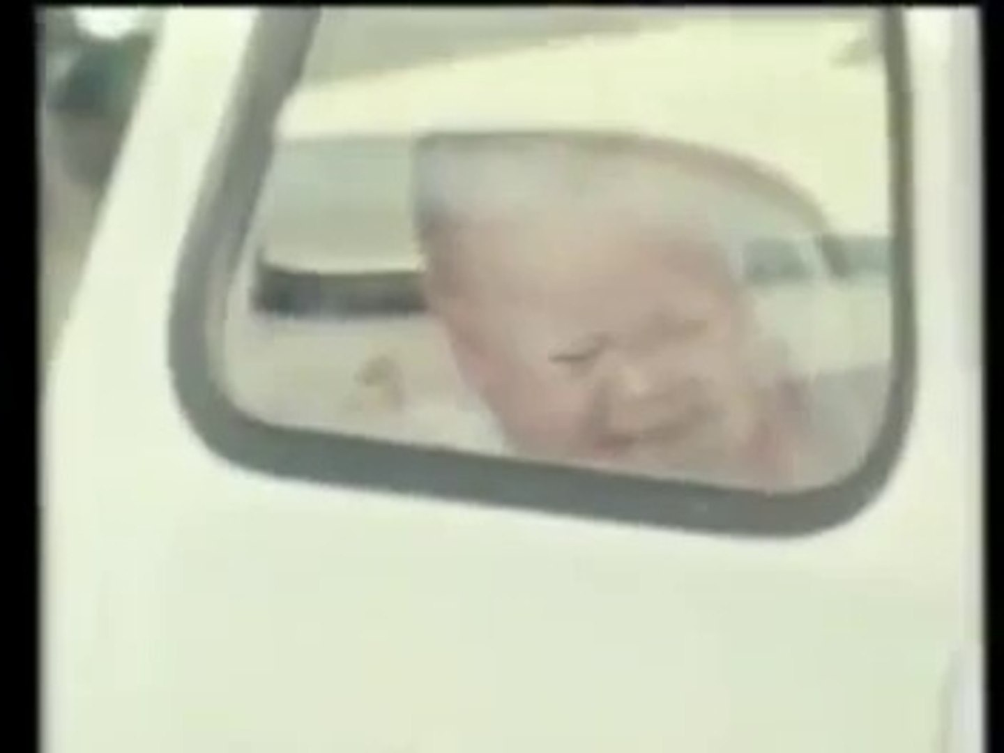 Wildlife documentary