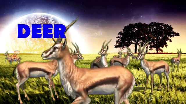 African Wild Animals Learning Wild Animals Sounds and Names for Kid in English Lion, Elephant ..