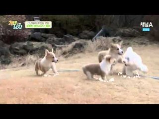 강인, 현주엽을 홀딱 홀린 주병진 펜트하우스 투어!_채널A_개밥남 7회