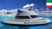 Kapal pesiar UFO futuristik dapat berlayar pada tahun 2018 - Tomonews