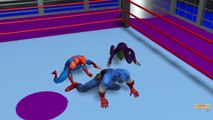 Spiderman vs Captain America Cage Fight | Captain america vs Hulk | Spiderman vs Ironman 3D Joker