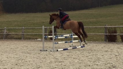 Sexy Boy de Belgy - Séance obstacle le 23.12.2016