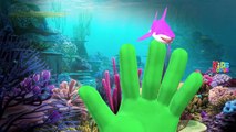 The Shark Finger Family Songs | Shark Baby Finger Songs For Children | Blue Shark Cartoons