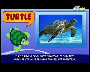 Water Animals   Learning Videos for Children   Animation for Kids   Preschool