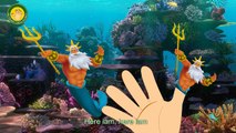 Finger Family Little Mermaid | Mermaid Finger Family Animal Nursery Rhymes Songs For Children